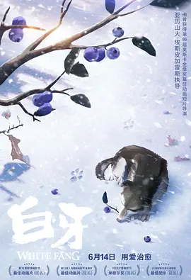 老王66网d3天堂