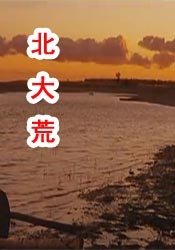 精品国产综合区久久久久久