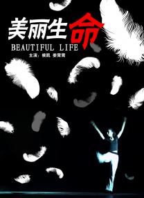 律师全系