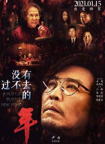 久久99精品久久久久久综合