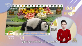 我的邻居睡不着韩国电影完整版免费观看